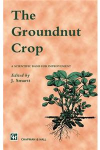 Groundnut Crop