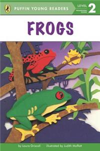 PYR LV 2 : Frogs