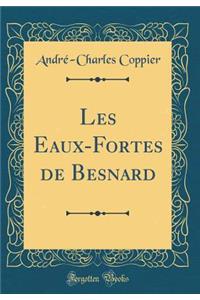 Les Eaux-Fortes de Besnard (Classic Reprint)
