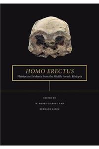 Homo erectus