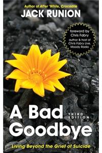 Bad Goodbye: Living Beyond the Grief of Suicide