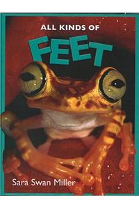 All Kinds of Feet