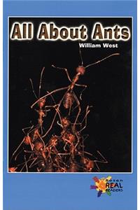 All about Ants