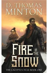 Fire in the Snow