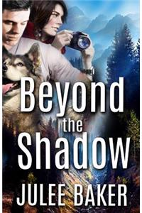 Beyond the Shadow