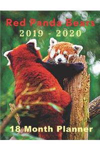Red Panda Bears 2019 - 2020 18 Month Planner