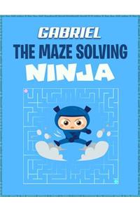 Gabriel the Maze Solving Ninja