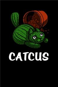 Catcus