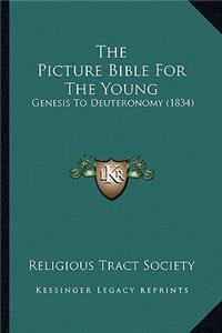 The Picture Bible For The Young