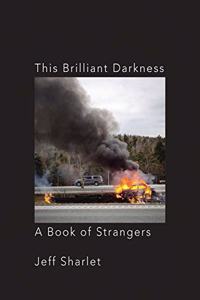 This Brilliant Darkness - A Book of Strangers