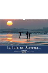 La baie de Somme... jour apres jour 2018