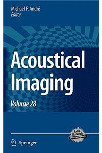 Acoustical Imaging