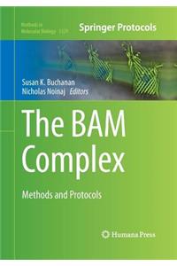 Bam Complex