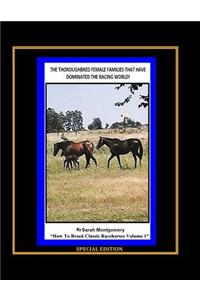 The Thoroughbred Female Families That Have Dominated The Racing World