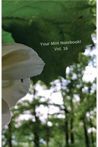 Your Mini Notebook! Vol. 16