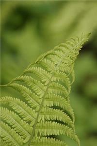 Green Fern Frond Plant Journal