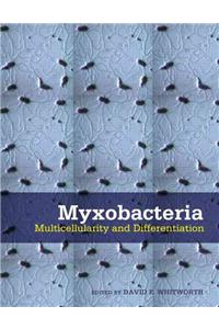 Myxobacteria: Multicellularity and Differentiation