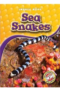 Sea Snakes