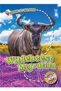 Wildebeest Migration