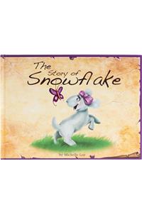 The Story of Snowflake