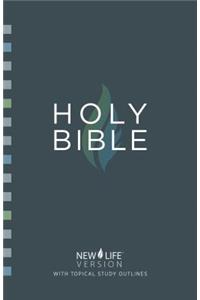 Study Bible-Nlv