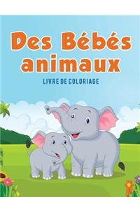 Des Bébés animaux