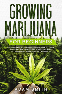 Growing Marijuana For Beginners