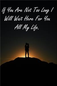 If You Are Not Too Long I Will Wait Here For You All My Life.
