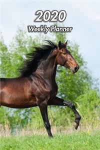 2020 Weekly Planner