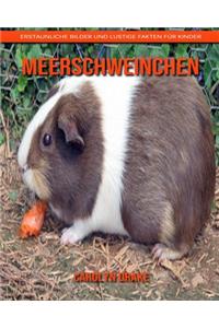 Meerschweinchen