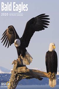 BALD EAGLES WALL CALENDAR 2020