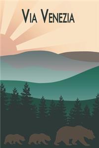 Via Venezia