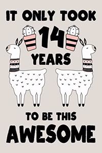 It only Took 14 Years To Be This Awesome