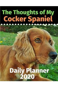 The Thoughts of My Cocker Spaniel