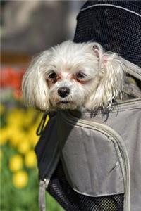 Packing a Puppy - A Dog in a Backpack Journal