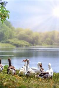 Wild Geese Notebook
