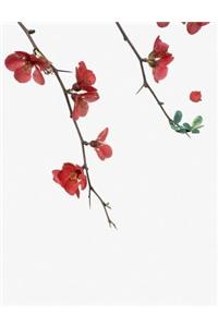 Flowering Red Quince Gone Wild Notebook