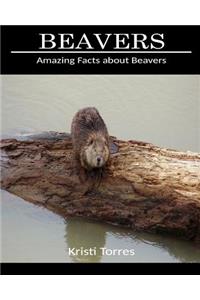 Amazing Facts about Beavers