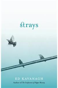 Strays