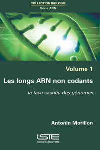 Les longs ARN non codants