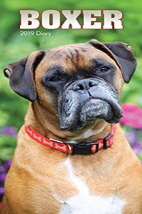 BOXERS SLIM D 2019