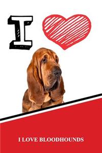 I Love Bloodhounds