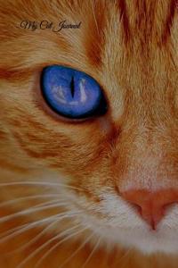 My Cat Journal
