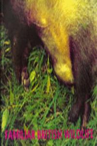 Familiar British Wildlife