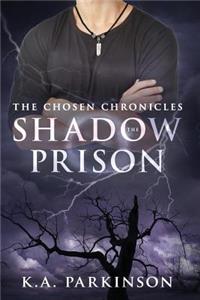 Shadow Prison
