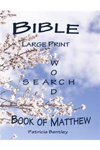 Bible Large Print Word Search