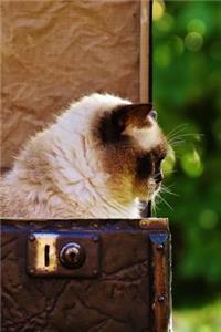 A Cat in a Suitcase Journal