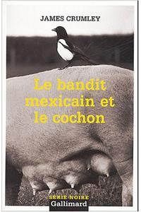 Bandit Mexicain Et Le Co