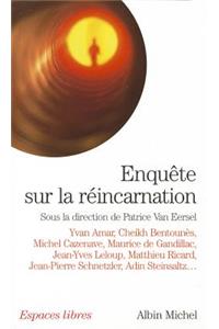 Enquete Sur La Reincarnation