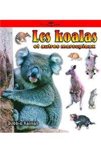 Les Koalas Et Autres Marsupiaux